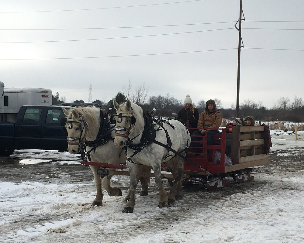 limo service in port carling
